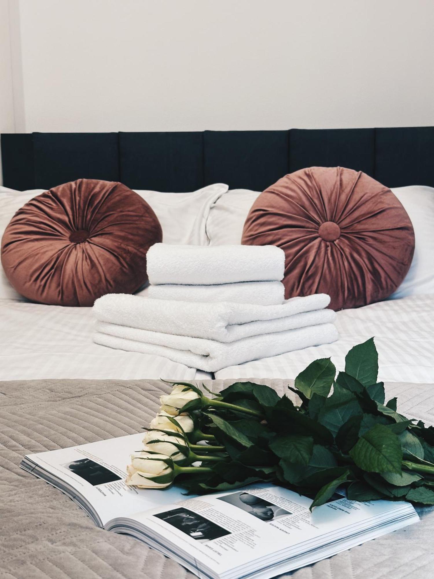 Soft Loft Apartamenty Stary Toruń 외부 사진
